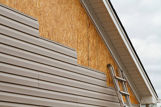 Professional Siding Repair technician working in Ada, MN